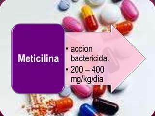 • accion
Meticilina bactericida.
           • 200 – 400
             mg/kg/dia
 