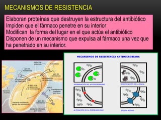 MECANISMOS DE RESISTENCIA
Elaboran proteínas que destruyen la estructura del antibiótico
Impiden que el fármaco penetre en su interior
Modifican la forma del lugar en el que actúa el antibiótico
Disponen de un mecanismo que expulsa al fármaco una vez que
ha penetrado en su interior.
 