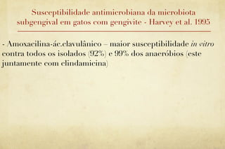 Susceptibilidade antimicrobiana da microbiota
    subgengival em gatos com gengivite - Harvey et al. 1995

- Amoxacilina-ác.clavulânico – maior susceptibilidade in vitro
contra todos os isolados (92%) e 99% dos anaeróbios (este
juntamente com clindamicina)
 