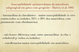 Susceptibilidade antimicrobiana da microbiota
    subgengival em gatos com gengivite - Harvey et al. 1995

- Amoxacilina-ác.clavulânico – maior susceptibilidade in vitro
contra todos os isolados (92%) e 99% dos anaeróbios (este
juntamente com clindamicina)



 - não houve diferença estat. entre amoxacilina- ác.clav. e
 cefadroxil p/ todos os isolados;
 - enroﬂoxacina maior susceptibilidade em anaeróbios
 