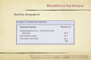 Resistência bacteriana

Bactérias sub-gengivais




              Radice, M; Martino, PA; Reiter, AM. Evaluation of Subgingival Bacteria in the Dog and
                Susceptibility to Commonly Used Antibiotics. J Vet Dent. V. 23, n. 4, 219-224, 2006
 