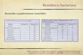 Resistência bacteriana

Bacteoides e porphiromonas (anaeróbio)




                    Radice, M; Martino, PA; Reiter, AM. Evaluation of Subgingival Bacteria in the Dog and
                      Susceptibility to Commonly Used Antibiotics. J Vet Dent. V. 23, n. 4, 219-224, 2006
 