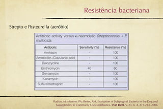 Resistência bacteriana

Strepto e Pasteurella (aeróbio)




                       Radice, M; Martino, PA; Reiter, AM. Evaluation of Subgingival Bacteria in the Dog and
                         Susceptibility to Commonly Used Antibiotics. J Vet Dent. V. 23, n. 4, 219-224, 2006
 