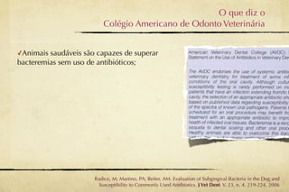 O que diz o
                           Colégio Americano de Odonto Veterinária


✓Animais saudáveis são capazes de superar
bacteremias sem uso de antibióticos;




                       Radice, M; Martino, PA; Reiter, AM. Evaluation of Subgingival Bacteria in the Dog and
                         Susceptibility to Commonly Used Antibiotics. J Vet Dent. V. 23, n. 4, 219-224, 2006
 