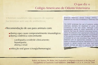 O que diz o
                              Colégio Americano de Odonto Veterinária


✓Animais saudáveis são capazes de superar
bacteremias sem uso de antibióticos;

✓Recomendação de uso para animais com:

   •doença que cause comprometimento imunológico;
   •doença sistêmica concomitante:
        cardiopatica evidente clinicamente;
        hepatopatia;
        doença renal.
   •infecção oral grave (cirurgia/hemorragia).


                          Radice, M; Martino, PA; Reiter, AM. Evaluation of Subgingival Bacteria in the Dog and
                            Susceptibility to Commonly Used Antibiotics. J Vet Dent. V. 23, n. 4, 219-224, 2006
 