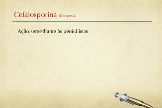 Cefalosporina (Convenia)

 Ação semelhante às penicilinas
 