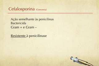Cefalosporina (Convenia)

 Ação semelhante às penicilinas
 Bactericida
 Gram + e Gram –

 Resistente à penicilinase
 
