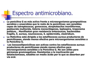Espectro antimicrobiano.
 La penicilina G es más activa frente a microorganismos grampositivos
aerobios y anaerobios que le resto de la penicilinas; son sensibles
cepas de estreptococos, gonococos, streptobacilos moniliformes,
pasteurela multocida, listeria monocitógenes, leptospira, treponema
palidum, . Manifiestan gran resistencia enterococos, bacteroides
fragilis, S. aureus, neumococos, S. epidermidis, clostridium.
 La Meticilina está dirigida a los estafilococos aureus productores de
penicilinasas, siendo menos efectiva para microorganismos sensibles a
la Penicilina G.
 Las Isoxazolilpenicilinas son activas contra los estafilococos aureus
productores de penicilinasas siendo menos efectiva para
microorganismos sensibles a la Penicilina G. No son útiles para
gérmenes gramnegativos. Resistentes a la inactivación por
betalactamasas, estables en medio ácido por lo que se absorben por
vía oral.
 