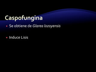 Mecanismo de Acción InhibiciónSíntesis ergoesterol Inhiben síntesisDesmetaliza14-α-esterolAzoles
