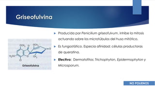 Griseofulvina
 Producida por Penicilium griseofulvum, inhibe la mitosis
actuando sobre los microtúbulos del huso mitótico.
 Es fungostático. Especia afinidad: células productoras
de queratina.
 Efectivo: Dermatofitos: Trichophyton, Epidermophyton y
Microsporum.
NO POLIENOS
 