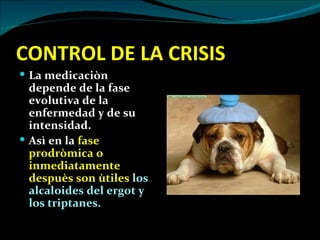 CONTROL DE LA CRISIS
 La medicaciòn
  depende de la fase
  evolutiva de la
  enfermedad y de su
  intensidad.
 Asì en la fase
  prodròmica o
  inmediatamente
  despuès son ùtiles los
  alcaloides del ergot y
  los triptanes.
 
