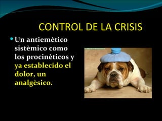CONTROL DE LA CRISIS
 Un antiemètico
 sistèmico como
 los procinèticos y
 ya establecido el
 dolor, un
 analgèsico.
 