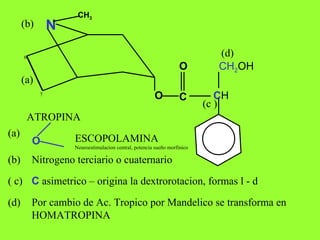 N CH 3 O C O C H CH 2 OH ATROPINA (a) (b) (c ) (d) (a) O ESCOPOLAMINA Neuroestimulacion central, potencia sueño morfinico (b) Nitrogeno terciario o cuaternario ( c) C  asimetrico – origina la dextrorotacion, formas l - d (d) Por cambio de Ac. Tropico por Mandelico se transforma en HOMATROPINA 6 7 