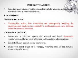 IMIDAZOTHIAZOLES
• Important derivatives of imidazothaizoles include tetramisole, levamisole,
butamisole and m-aminotetramisole.
LEVAMISOLE
Mechanism of action:
• Nicotine-like action, first stimulating and subsequently blocking the
neuromuscular junctions i.e. essentially a cholinergic agent. Also reported
to inhibit fumarate reductase.
Anthelmintic spectrum:
• Levamisole is effective against the matured and larval (immature)
roundworms and lungworms following oral/parenteral administration.
• Limited efficacy against canine heartworm.
• Exerts very rapid effect on the targets, removing most of the parasites
within a day (24 hours).
 