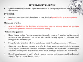 TETRAHYDROPYRIMIDINES
• Pyrantel and morantel are two important derivatives of tetrahydropyrimidines used as effective
anthelmintics.
PYRANTEL
• Broad spectrum anthelmintic introduced in 1966. Used as hydrochloride, tartarate or pamoate
salts.
Mechanism of action:
• Acts by depolarizing the helminth neuromuscular junction, causing spasm and paralysis.
Pyrantel also possesses some anti-cholinesterase activity.
Anthelmintic spectrum:
• Horse: Active against Parascaris equorum, Strongyles vulgaris, S. equinus and Prosbtmyria
vivipara (equine pinworm). Less active and variable activity against S. edantatus, small
stronglyes and mature O. equi.
• Swine: Pyrantel tartarate is effective against Ascaris and Oesophagostomum spp. Of swine.
• Sheep and cattle: Pyrantel tartarate is an effective broad spectrum anthelmintic in ruminants.
Active against Haemonchus contortus, Ostertagia ostertagia, O. cicumcinta, Trichostrongylus
axie and T. colubriformis, Nematodorius battus and N. spathiger, Cooperia and Bunustomum.
• Dogs: Pyrantel pamoate is highly effective against common hookworms, ascarids and stomach
worms of dogs at s single does of 5 mg/kg.
 