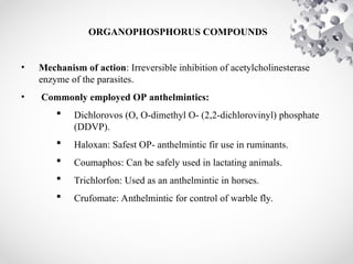 ORGANOPHOSPHORUS COMPOUNDS
• Mechanism of action: Irreversible inhibition of acetylcholinesterase
enzyme of the parasites.
• Commonly employed OP anthelmintics:
 Dichlorovos (O, O-dimethyl O- (2,2-dichlorovinyl) phosphate
(DDVP).
 Haloxan: Safest OP- anthelmintic fir use in ruminants.
 Coumaphos: Can be safely used in lactating animals.
 Trichlorfon: Used as an anthelmintic in horses.
 Crufomate: Anthelmintic for control of warble fly.
 