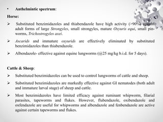 • Anthelmintic spectrum:
Horse:
 Substituted benzimidazoles and thiabendazole have high activity (>90%) against
adult forms of large Strongyles, small strongyles, mature Oxyuris equi, small pin-
worms, Trichostrogyles axei.
 Ascarids and immature oxyurids are effectively eliminated by substituted
benzimidazoles than thiabendazole.
 Albendazole- effective against equine lungworms (@25 mg/kg b.i.d. for 5 days).
Cattle & Sheep:
 Substituted benzimidazoles can be used to control lungworms of cattle and sheep.
 Substituted benzimidazoles are markedly effective against GI nematodes (both adult
and immature larval stage) of sheep and cattle.
 Most benzimidazoles have limited efficacy against ruminant whipworm, filarial
parasites, tapeworms and flukes. However, flubendazole, oxibendazole and
oxfendazole are useful for whipworms and albendazole and fenbendazole are active
against certain tapeworms and flukes.
 