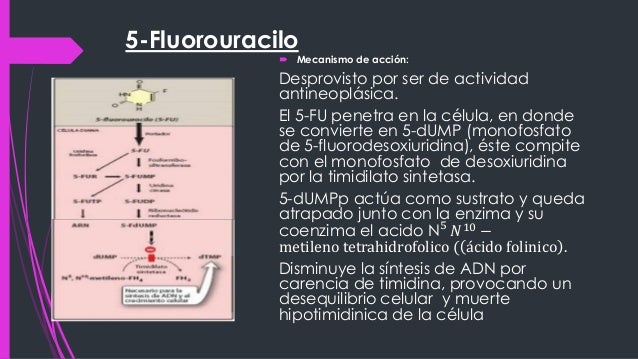 La crema el aceite para los cabellos amla las revocaciones
