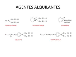AGENTES ALQUILANTES
 