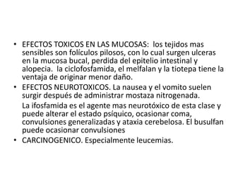 • EFECTOS TOXICOS EN LAS MUCOSAS: los tejidos mas
sensibles son folículos pilosos, con lo cual surgen ulceras
en la mucosa bucal, perdida del epitelio intestinal y
alopecia. la ciclofosfamida, el melfalan y la tiotepa tiene la
ventaja de originar menor daño.
• EFECTOS NEUROTOXICOS. La nausea y el vomito suelen
surgir después de administrar mostaza nitrogenada.
La ifosfamida es el agente mas neurotóxico de esta clase y
puede alterar el estado psíquico, ocasionar coma,
convulsiones generalizadas y ataxia cerebelosa. El busulfan
puede ocasionar convulsiones
• CARCINOGENICO. Especialmente leucemias.
 