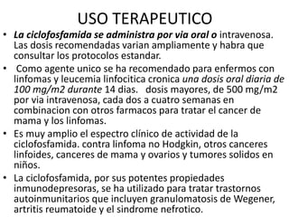 USO TERAPEUTICO
• La ciclofosfamida se administra por via oral o intravenosa.
Las dosis recomendadas varian ampliamente y habra que
consultar los protocolos estandar.
• Como agente unico se ha recomendado para enfermos con
linfomas y leucemia linfocitica cronica una dosis oral diaria de
100 mg/m2 durante 14 dias. dosis mayores, de 500 mg/m2
por via intravenosa, cada dos a cuatro semanas en
combinacion con otros farmacos para tratar el cancer de
mama y los linfomas.
• Es muy amplio el espectro clínico de actividad de la
ciclofosfamida. contra linfoma no Hodgkin, otros canceres
linfoides, canceres de mama y ovarios y tumores solidos en
niños.
• La ciclofosfamida, por sus potentes propiedades
inmunodepresoras, se ha utilizado para tratar trastornos
autoinmunitarios que incluyen granulomatosis de Wegener,
artritis reumatoide y el sindrome nefrotico.
 