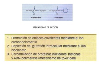 MECANISMO DE ACCION
 