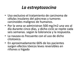 La estreptozocina
• Uso exclusivo el tratamiento de carcinoma de
células insulares del páncreas y tumores
carcinoides malignos de humanos.
• Por la vena se administran 500 mg/m2 una vez al
día durante cinco días, y dicho ciclo se repite cada
seis semanas. según la tolerancia y la respuesta.
• La nausea es frecuente con el uso de dicho
citotoxico.
• En aproximadamente 66% de los pacientes
surgen efectos tóxicos leves reversibles en
riñones o hígado
 