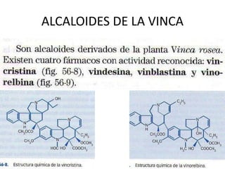 ALCALOIDES DE LA VINCA
 