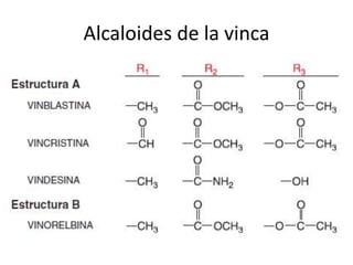 Alcaloides de la vinca
 