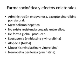 Farmacocinética y efectos colaterales
• Administración endovenosa, excepto vinorelbina
por vía oral.
• Metabolismo hepático
• No existe resistencia cruzada entre ellos.
• De forma global producen:
• Leucopenia (vinblastina y vinorelbina)
• Alopecia (todos)
• Mucositis (vinblastina y vinorelbina)
• Neuropatía periférica (vincristina)
 