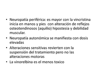 • Neuropatía periférica: es mayor con la vincristina
inicia en manos y pies con alteración de reflejos
osteotendinosos (aquilio) hipostesia y debilidad
muscular.
• Neuropatía autonómica se manifiesta con dosis
elevadas
• Alteraciones sensitivas revierten con la
suspensión del tratamiento pero no las
alteraciones motoras
• La vinorelbina es el menos toxico
 