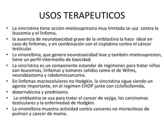 USOS TERAPEUTICOS
• La vincristina tiene acción mielosupresora muy limitada se usa contra la
leucemia y el linfoma,
• la ausencia de neurotoxicidad grave de la vinblastina la hace ideal en
caso de linfomas, y en combinación con el cisplatino contra el cáncer
testicular.
• La vinorelbina, que genera neurotoxicidad leve y también mielosupresion,
tiene un perfil intermedio de toxicidad.
• La vincristina es un componente estandar de regimenes para tratar niños
con leucemias, linfomas y tumores solidos como el de Wilms,
neuroblastoma y rabdomiosarcoma.
• En linfomas macrocelulares no Hodgkin, la vincristina sigue siendo un
agente importante, en el regimen CHOP junto con ciclofosfamida,
• doxorrubicina y prednisona.
• La vinblastina se usa para tratar el cancer de vejiga, los carcinomas
testiculares y la enfermedad de Hodgkin.
• La vinorelbina muestra actividad contra canceres no microciticos de
pulmon y cancer de mama.
 