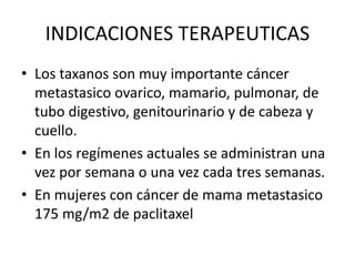 INDICACIONES TERAPEUTICAS
• Los taxanos son muy importante cáncer
metastasico ovarico, mamario, pulmonar, de
tubo digestivo, genitourinario y de cabeza y
cuello.
• En los regímenes actuales se administran una
vez por semana o una vez cada tres semanas.
• En mujeres con cáncer de mama metastasico
175 mg/m2 de paclitaxel
 