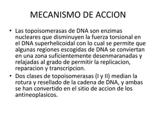 MECANISMO DE ACCION
• Las topoisomerasas de DNA son enzimas
nucleares que disminuyen la fuerza torsional en
el DNA superhelicoidal con lo cual se permite que
algunas regiones escogidas de DNA se conviertan
en una zona suficientemente desenmaranadas y
relajadas al grado de permitir la replicacion,
reparacion y transcripcion.
• Dos clases de topoisomerasas (I y II) median la
rotura y resellado de la cadena de DNA, y ambas
se han convertido en el sitio de accion de los
antineoplasicos.
 