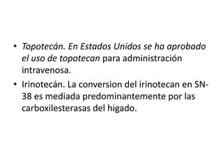 • Topotecán. En Estados Unidos se ha aprobado
el uso de topotecan para administración
intravenosa.
• Irinotecán. La conversion del irinotecan en SN-
38 es mediada predominantemente por las
carboxilesterasas del higado.
 