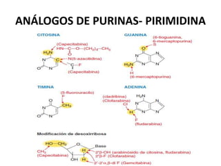 ANÁLOGOS DE PURINAS- PIRIMIDINA
 