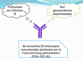Son
glucoproteínas
especializadas
Producidas
por linfocitos
B
Se encuentra 29 anticuerpos
monoclonales aprobados por la
Food and Drug administration
(FDA –EE.UU)
 