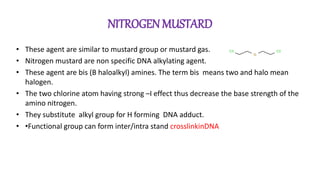 NITROGEN MUSTARD
• These agent are similar to mustard group or mustard gas.
• Nitrogen mustard are non specific DNA alkylating agent.
• These agent are bis (B haloalkyl) amines. The term bis means two and halo mean
halogen.
• The two chlorine atom having strong –I effect thus decrease the base strength of the
amino nitrogen.
• They substitute alkyl group for H forming DNA adduct.
• •Functional group can form inter/intra stand crosslinkinDNA
 