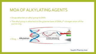 MOA OF ALKYLATINGAGENTS
• Drugs attaches an alkyl group to DNA.
• The alkyl group is attached to the guanine base of DNA,7th nitrogen atom of the
purine ring.
• Drug +
Swathi Pharma Jnan
Alkylation
 