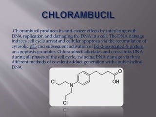 Chlorambucil produces its anti-cancer effects by interfering with
DNA replication and damaging the DNA in a cell. The DNA damage
induces cell cycle arrest and cellular apoptosis via the accumulation of
cytosolic p53 and subsequent activation of Bcl-2-associated X protein,
an apoptosis promoter. Chlorambucil alkylates and cross-links DNA
during all phases of the cell cycle, inducing DNA damage via three
different methods of covalent adduct generation with double-helical
DNA
 