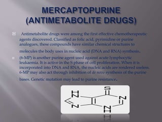  Antimetabolite drugs were among the first effective chemotherapeutic
agents discovered. Classified as folic acid, pyrimidine or purine
analogues, these compounds have similar chemical structures to
molecules the body uses in nucleic acid (DNA and RNA) synthesis.
 (6-MP) is another purine agent used against acute lymphocytic
leukaemia. It is active in the S phase of cell proliferation. When it is
incorporated into DNA and RNA, the nucleic acids are rendered useless.
6-MP may also act through inhibition of de novo synthesis of the purine
bases. Genetic mutation may lead to purine resistance.
 