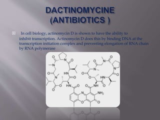  In cell biology, actinomycin D is shown to have the ability to
inhibit transcription. Actinomycin D does this by binding DNA at the
transcription initiation complex and preventing elongation of RNA chain
by RNA polymerase
 