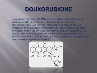  Doxorubicin interacts with DNA by intercalation and inhibition of
macromolecular biosynthesis. This inhibits the progression
of topoisomerase II, an enzyme which relaxes supercoils in DNA
for transcription. Doxorubicin stabilizes the topoisomerase II complex
after it has broken the DNA chain for replication, preventing the DNA
double helix from being resealed and thereby stopping the process
of replication. It may also increase Quinone type free radical production,
hence contributing to its cytotoxicity
 