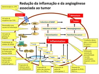 Irak Lps Antineoplásicos | PDF