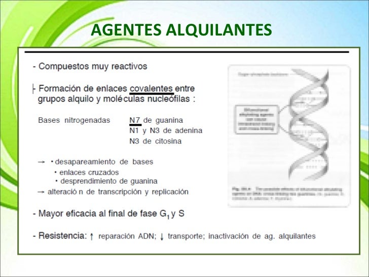 AGENTES ALQUILANTES DEFINICION PDF