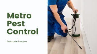 Metro
Pest
Control
Pest control service
 