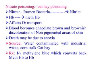 Nitrate Rumen Anti Nutritional Factors.pptx