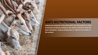 ANTI-NUTRITIONAL FACTORS
substances present in the diet which by themselves or their
metabolic products arising in the system interfere with the
feed utilization ,reduce production or affects the health of
the animal.
 