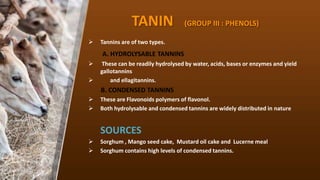 TANIN (GROUP III : PHENOLS)
? Tannins are of two types.
A. HYDROLYSABLE TANNINS
? These can be readily hydrolysed by water, acids, bases or enzymes and yield
gallotannins
? and ellagitannins.
B. CONDENSED TANNINS
? These are Flavonoids polymers of flavonol.
? Both hydrolysable and condensed tannins are widely distributed in nature
SOURCES
? Sorghum , Mango seed cake, Mustard oil cake and Lucerne meal
? Sorghum contains high levels of condensed tannins.
 