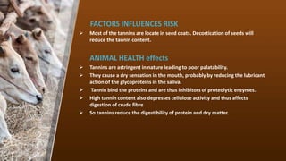 FACTORS INFLUENCES RISK
? Most of the tannins are locate in seed coats. Decortication of seeds will
reduce the tannin content.
ANIMAL HEALTH effects
? Tannins are astringent in nature leading to poor palatability.
? They cause a dry sensation in the mouth, probably by reducing the lubricant
action of the glycoproteins in the saliva.
? Tannin bind the proteins and are thus inhibitors of proteolytic enzymes.
? High tannin content also depresses cellulose activity and thus affects
digestion of crude fibre
? So tannins reduce the digestibility of protein and dry matter.
 